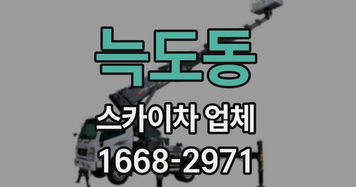 늑도동 스카이차 업체