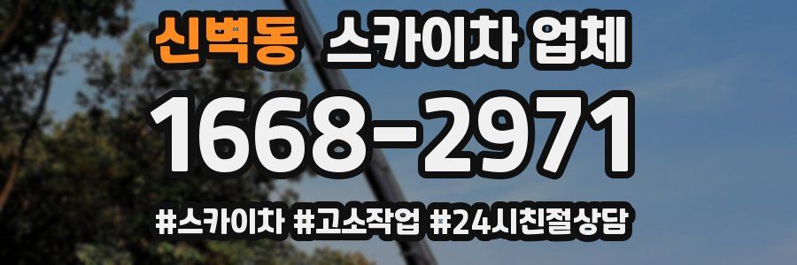 신벽동 스카이차 업체