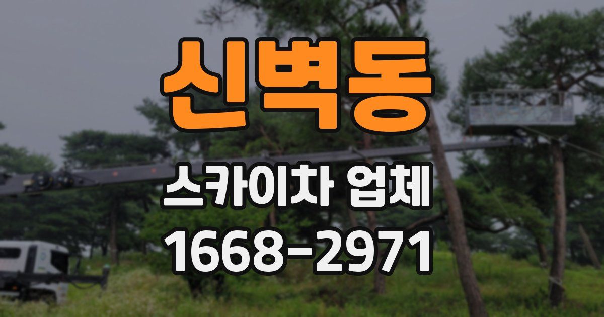 신벽동 스카이차 업체