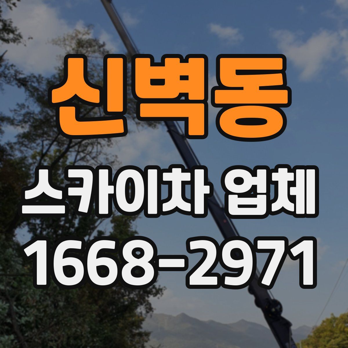 신벽동 스카이차 업체
