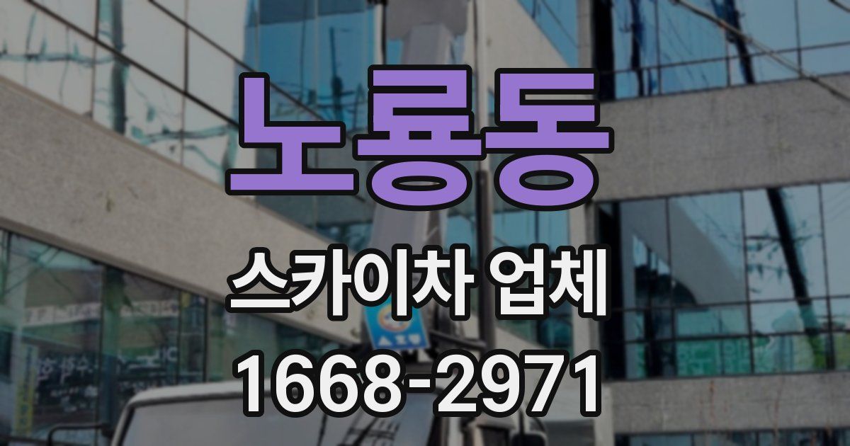 노룡동 스카이차 업체