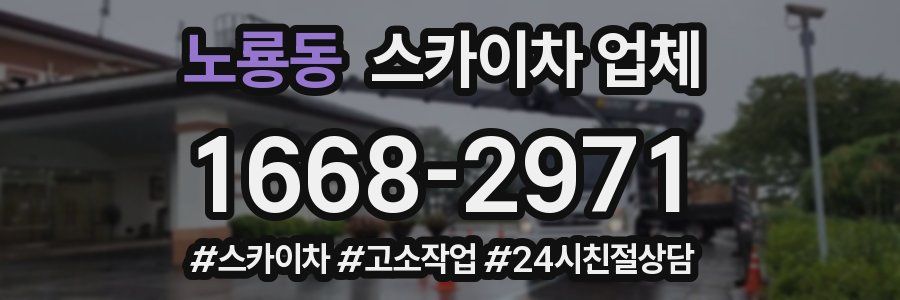 노룡동 스카이차 업체