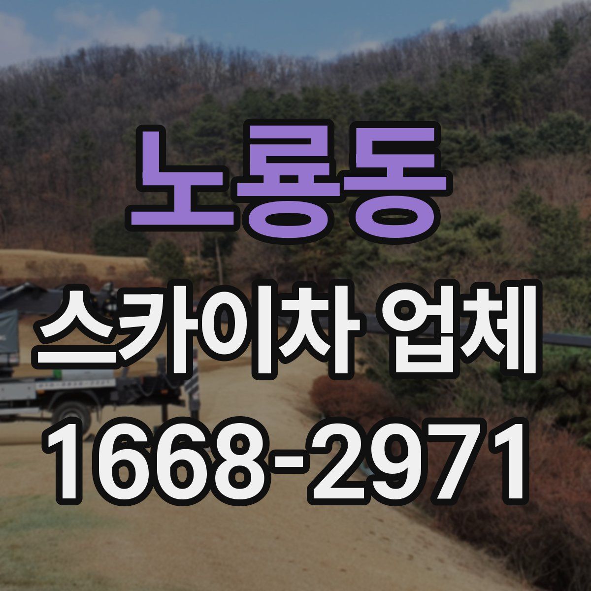 노룡동 스카이차 업체