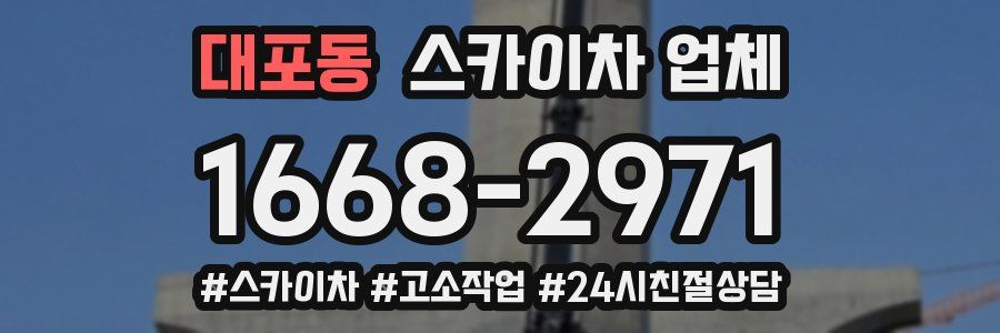 대포동 스카이차 업체