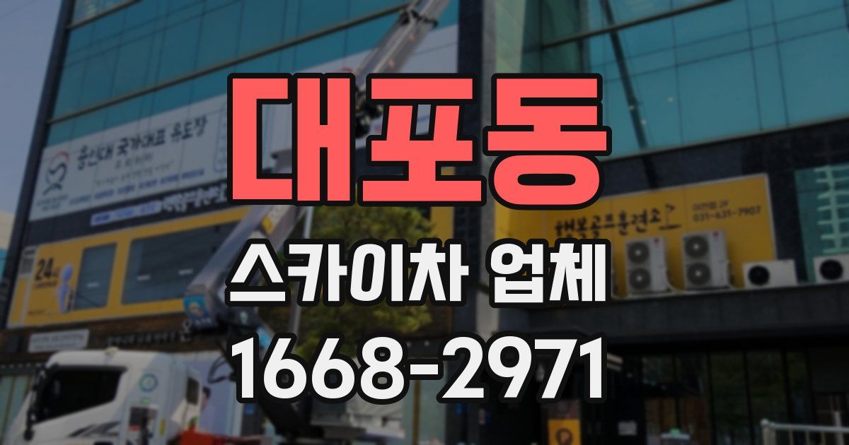 대포동 스카이차 업체