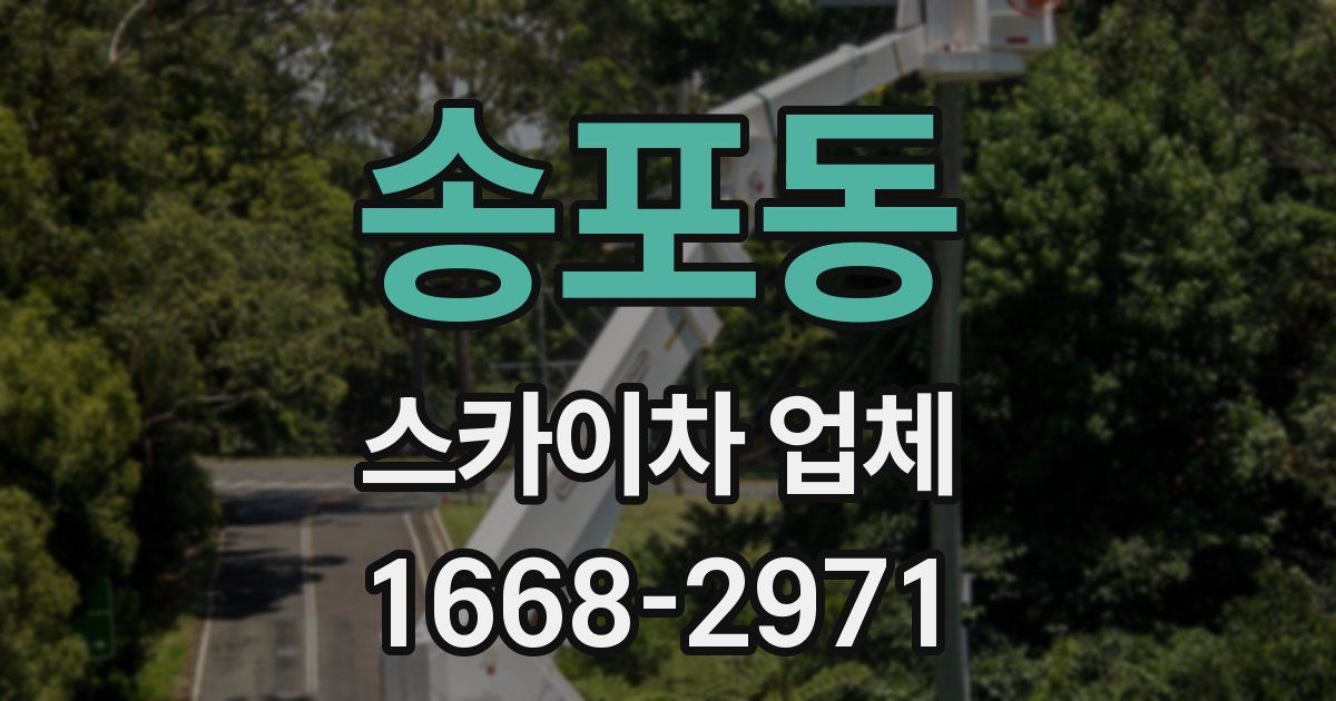 송포동 스카이차 업체