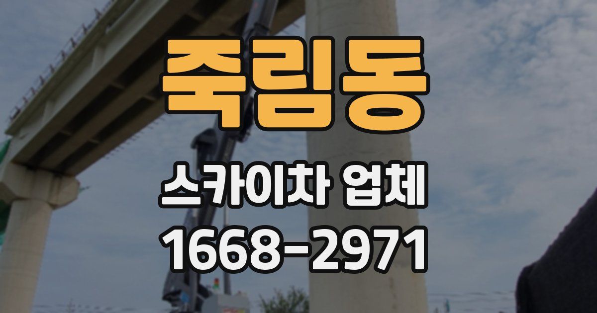 죽림동 스카이차 업체