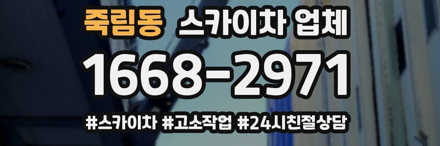 죽림동 스카이차 업체