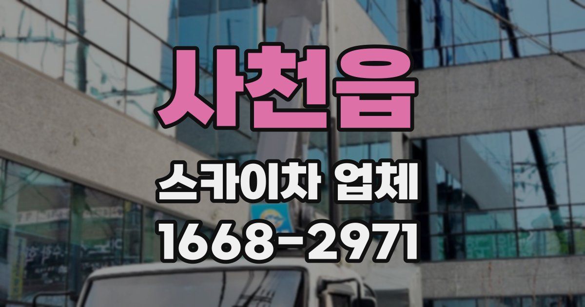 사천읍 스카이차 업체