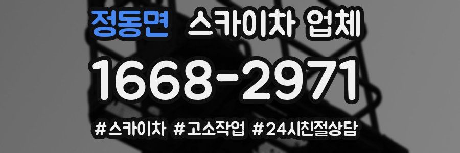 정동면 스카이차 업체