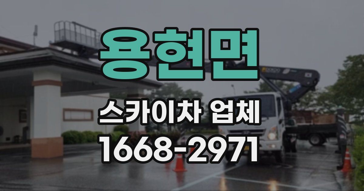 용현면 스카이차 업체