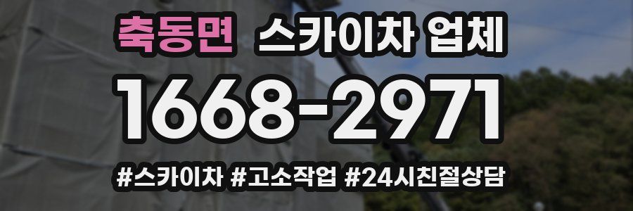 축동면 스카이차 업체