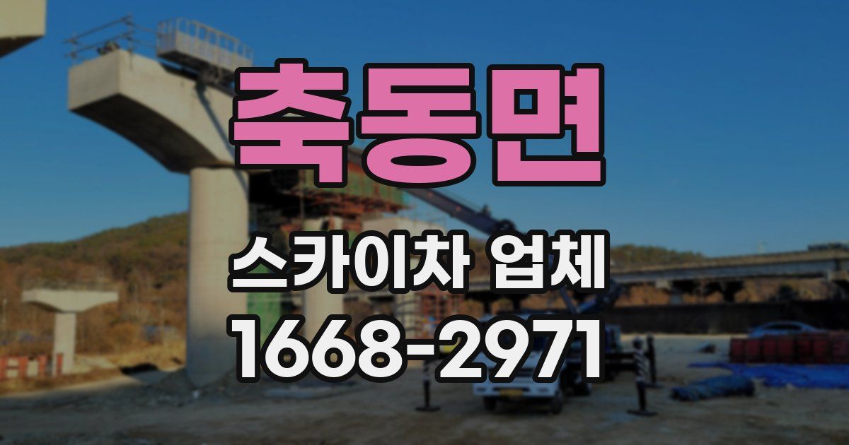 축동면 스카이차 업체