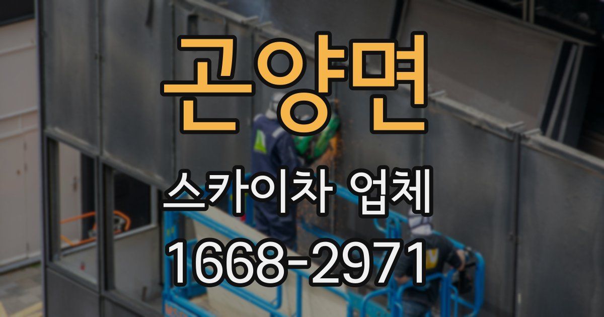 곤양면 스카이차 업체