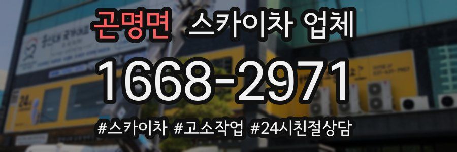 곤명면 스카이차 업체