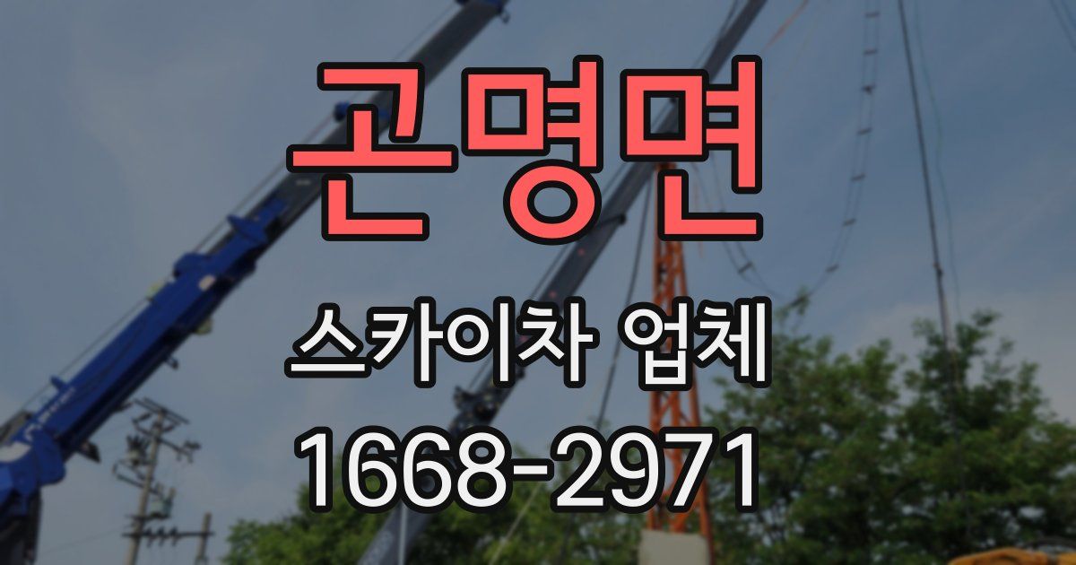 곤명면 스카이차 업체