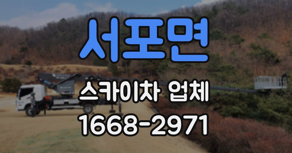 서포면 스카이차 업체