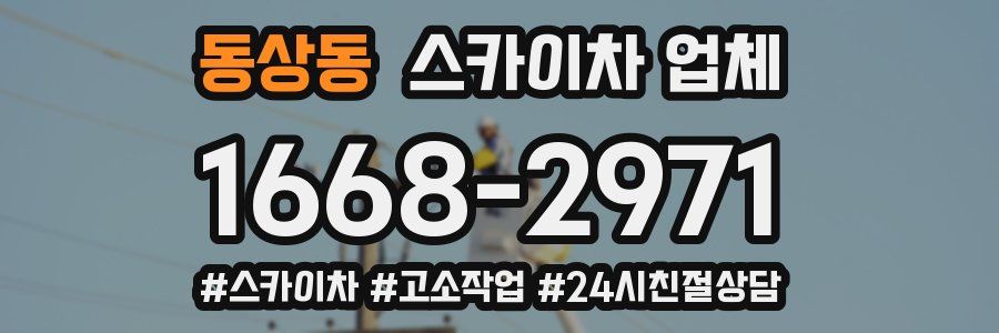 동상동 스카이차 업체