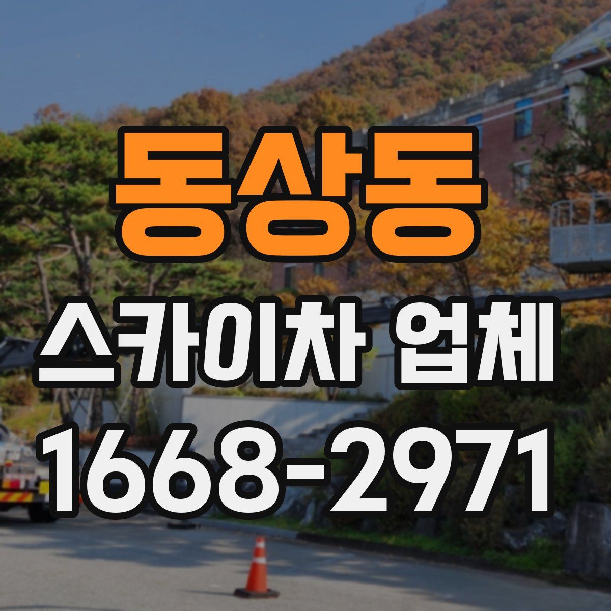 동상동 스카이차 업체