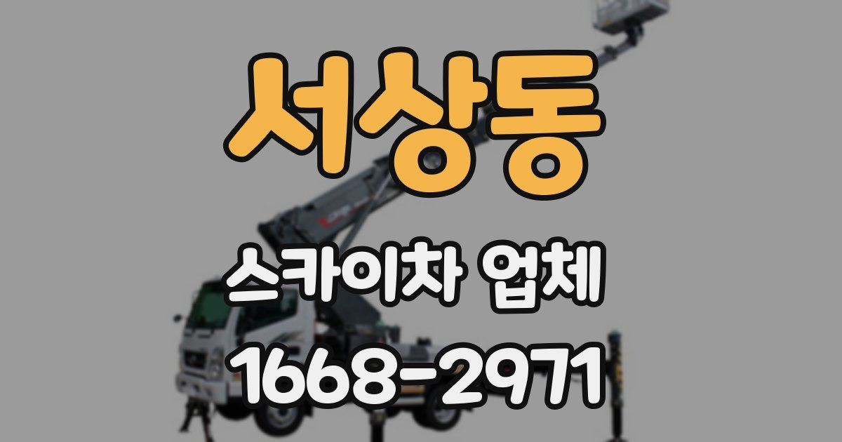 서상동 스카이차 업체