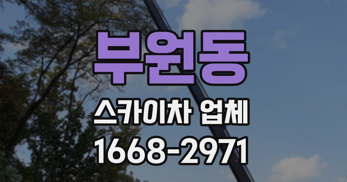 부원동 스카이차 업체