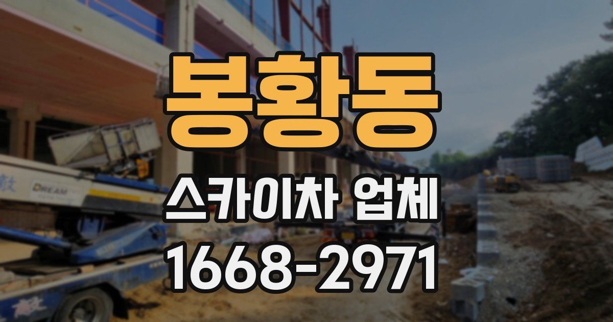 봉황동 스카이차 업체
