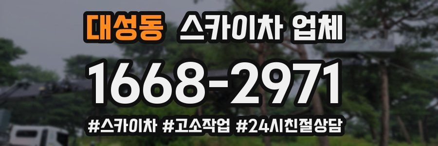 대성동 스카이차 업체