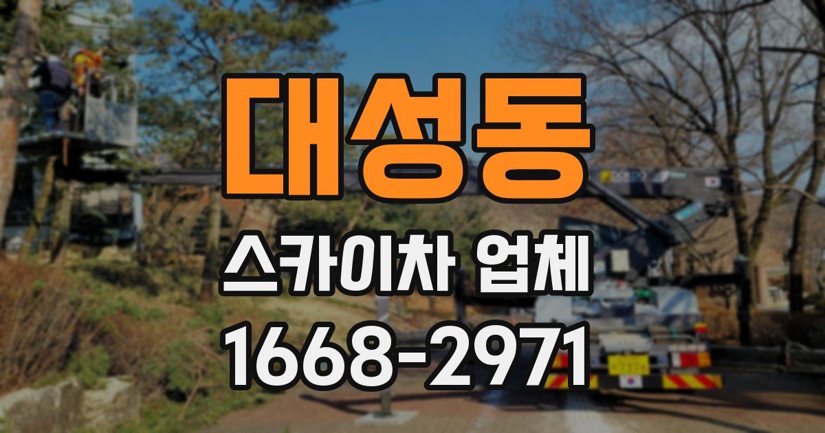 대성동 스카이차 업체