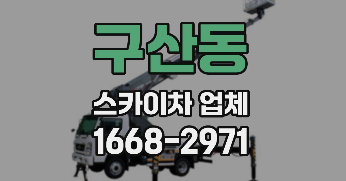 구산동 스카이차 업체