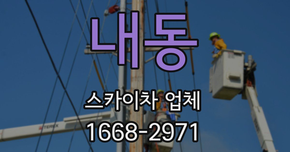 내동 스카이차 업체