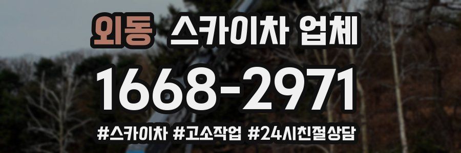 외동 스카이차 업체