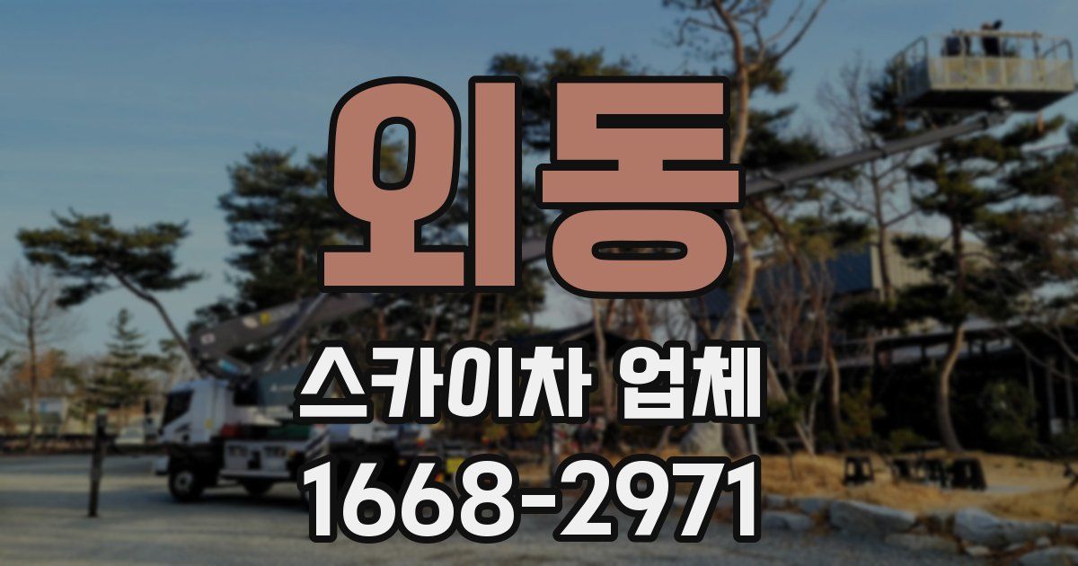 외동 스카이차 업체