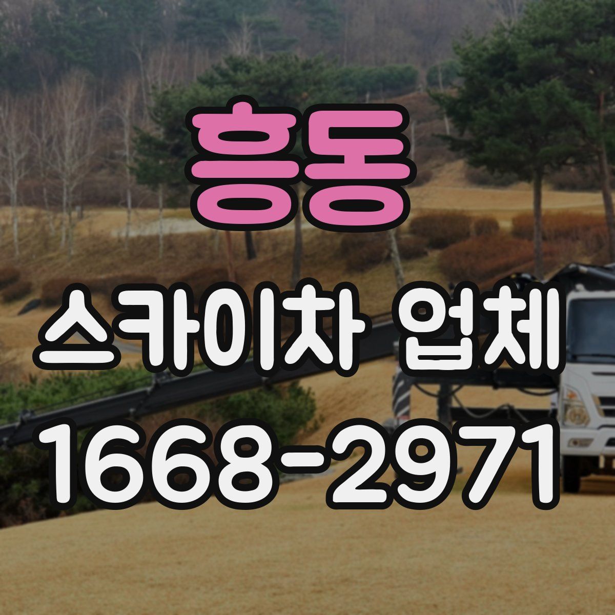 흥동 스카이차 업체