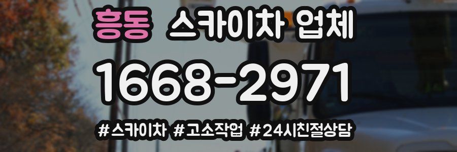 흥동 스카이차 업체