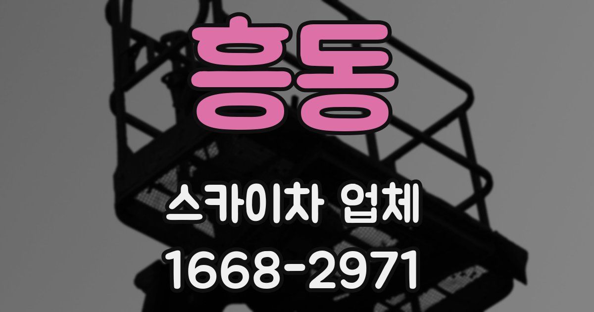 흥동 스카이차 업체