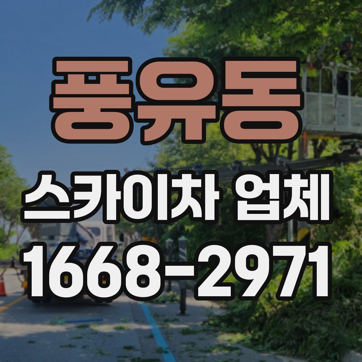 풍유동 스카이차 업체