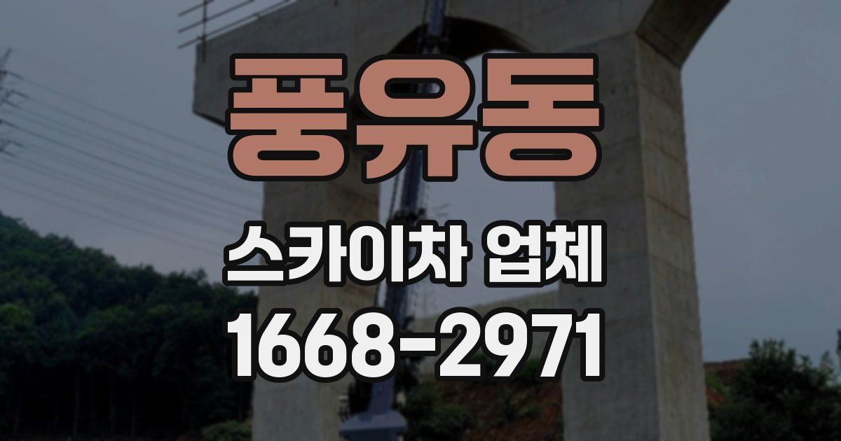 풍유동 스카이차 업체
