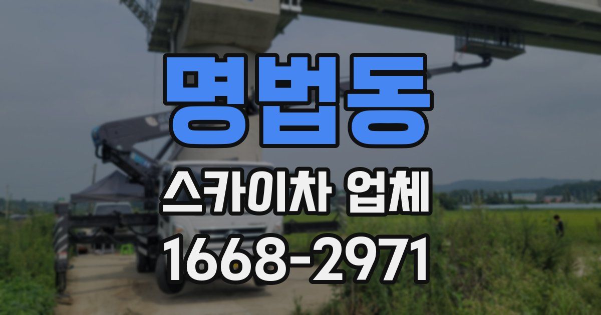 명법동 스카이차 업체