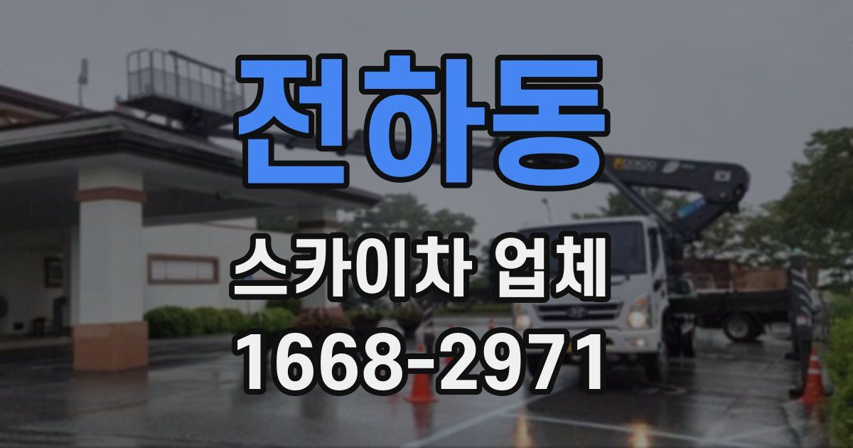 전하동 스카이차 업체