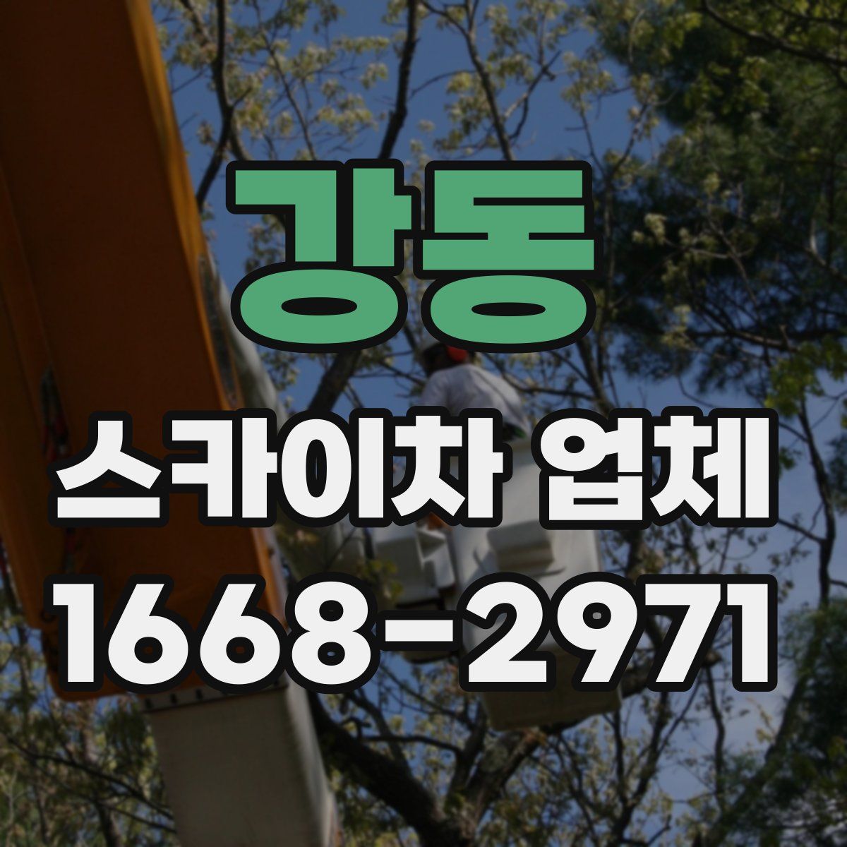 강동 스카이차 업체