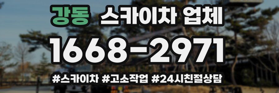 강동 스카이차 업체