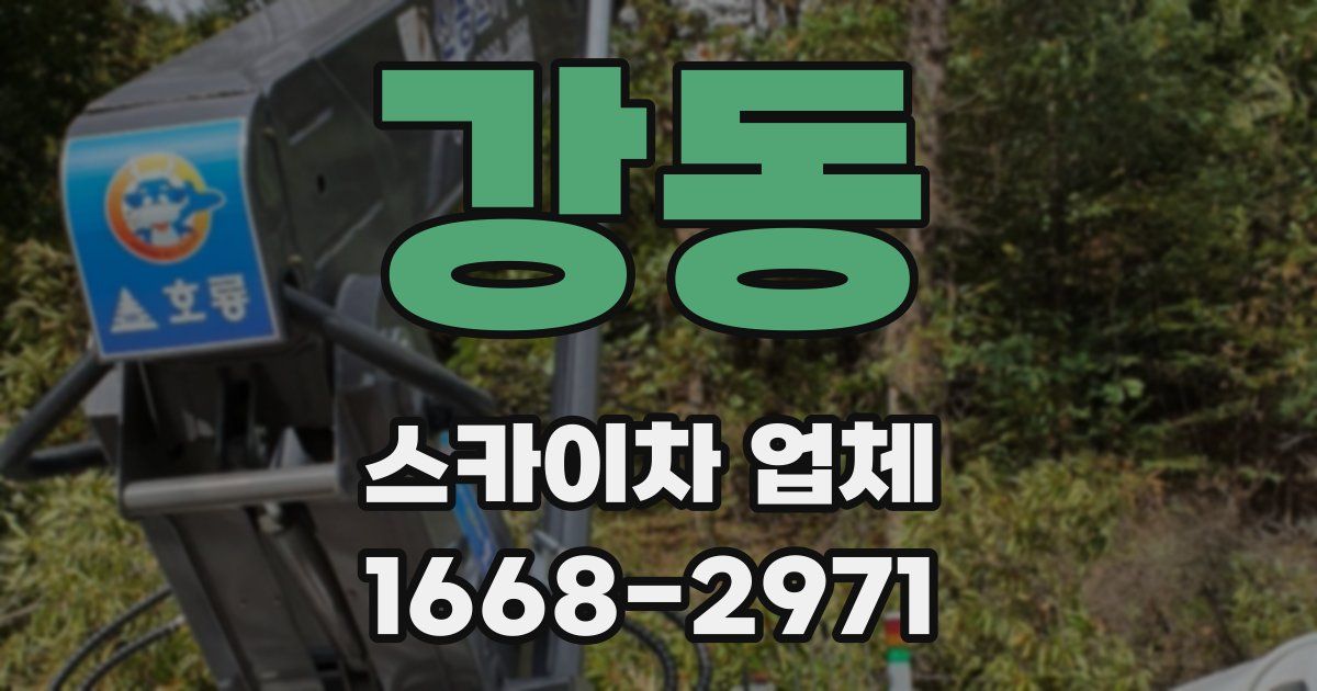 강동 스카이차 업체