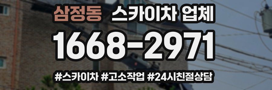 삼정동 스카이차 업체