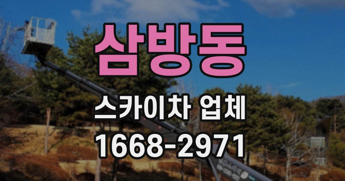 삼방동 스카이차 업체