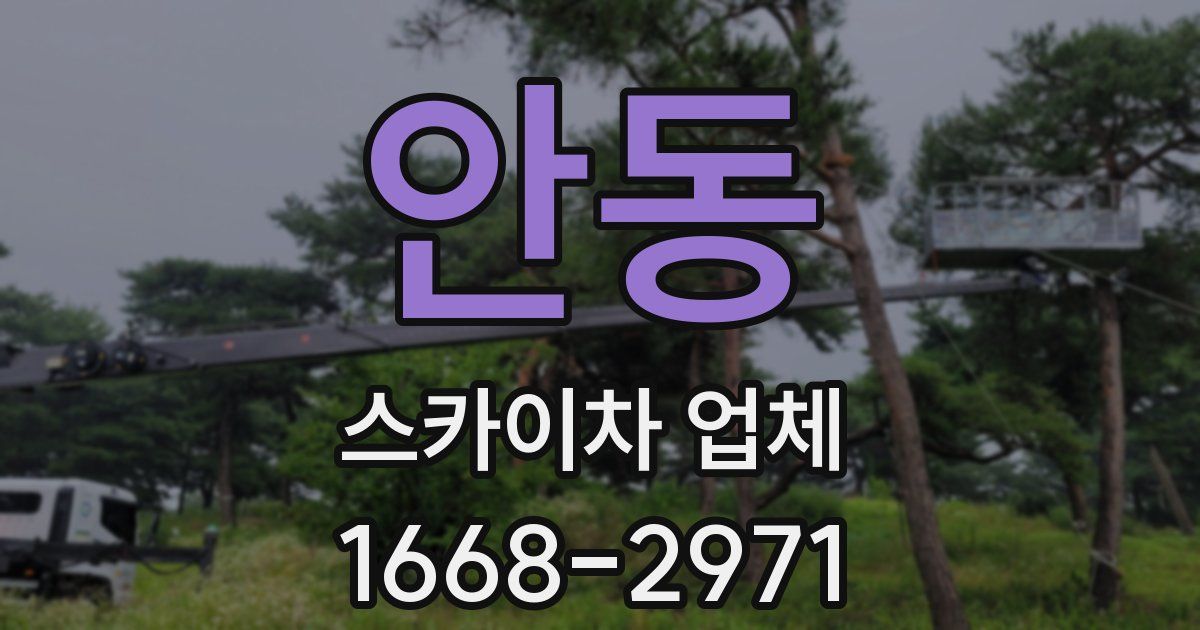안동 스카이차 업체
