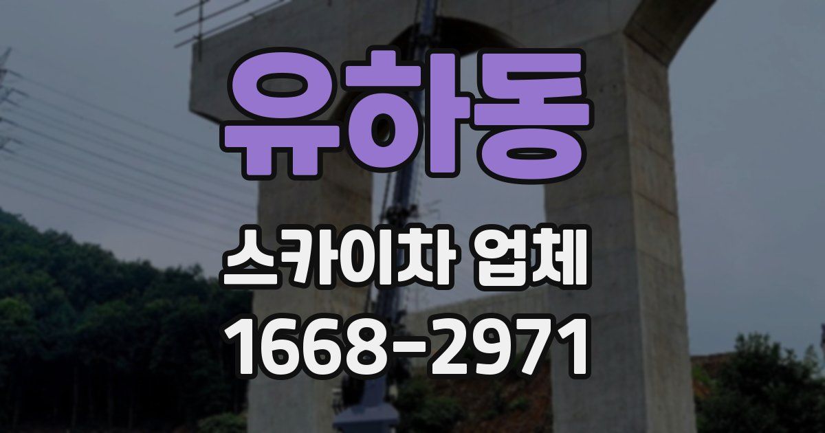 유하동 스카이차 업체