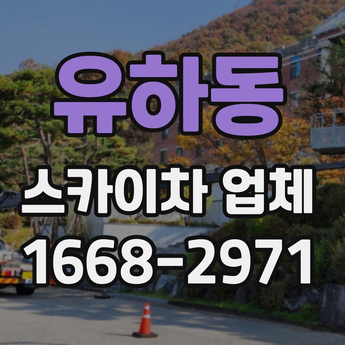 유하동 스카이차 업체