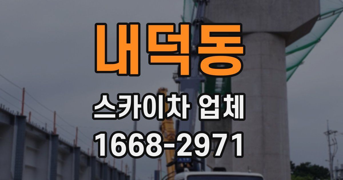 내덕동 스카이차 업체