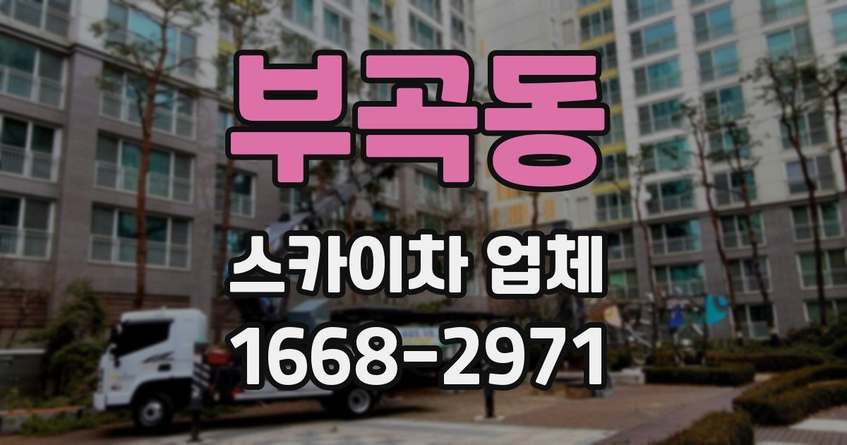 부곡동 스카이차 업체