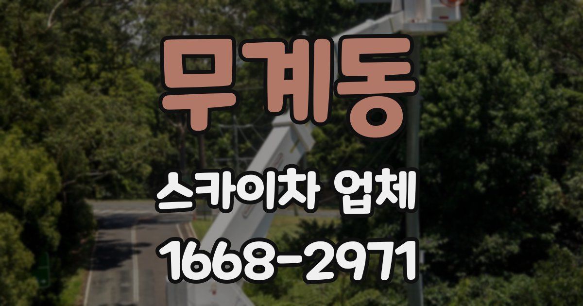 무계동 스카이차 업체